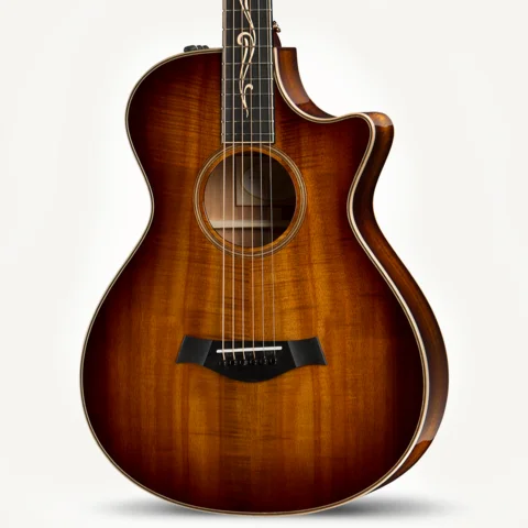 TAYLOR Koa 12-FRET GC-LTD ハワイアンコアオール単板 TAYLOR Koa 12-FRET GC-LTD ハワイアンコアオール単板 TAYLOR Koa 12